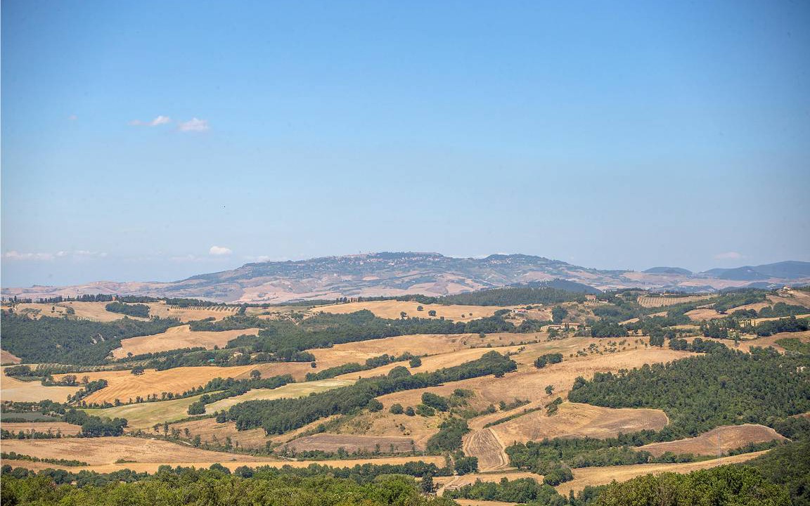 Photo of Others in Mazzolla
