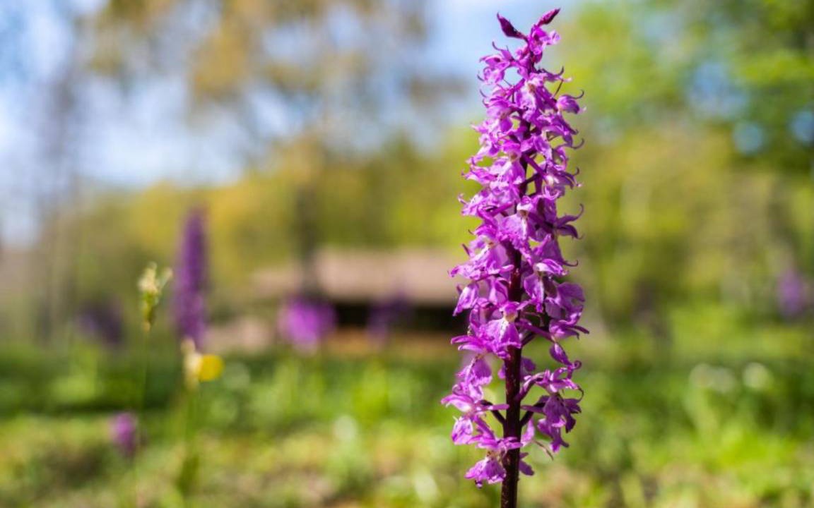 Photo of Outdoor in Sillano Giuncugnano