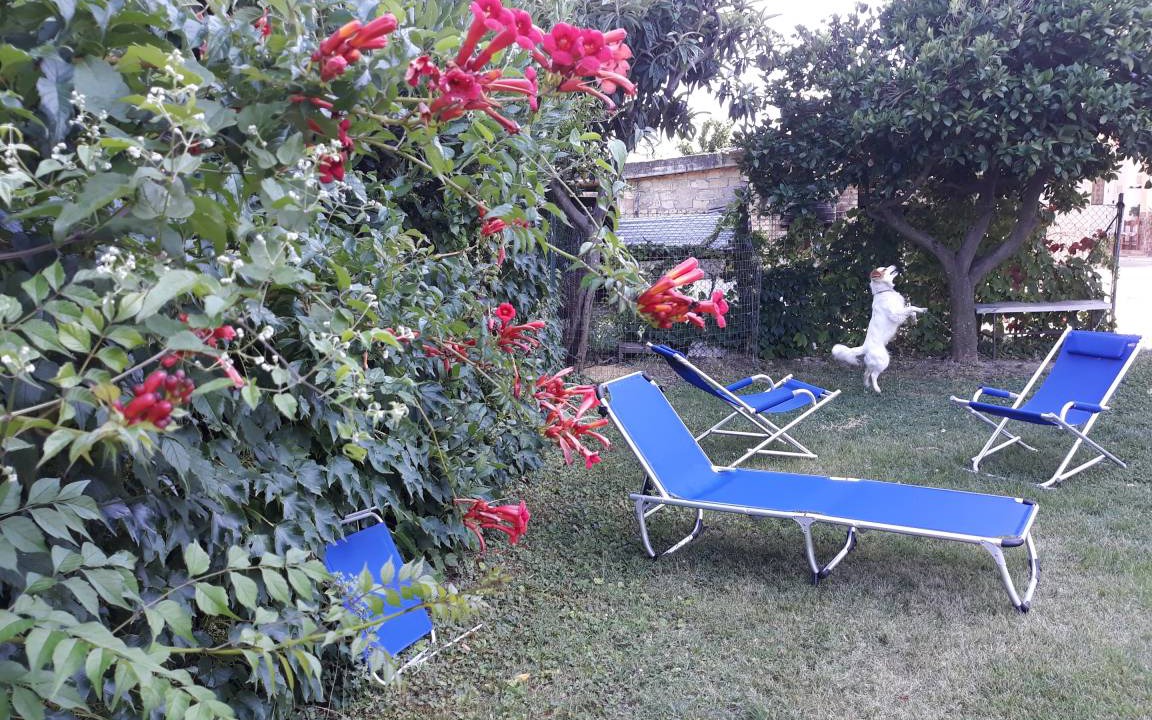 Photo of Others in Canosa Sannita