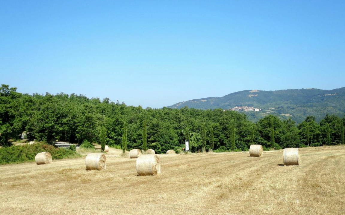 Photo of Others in Massa Marittima