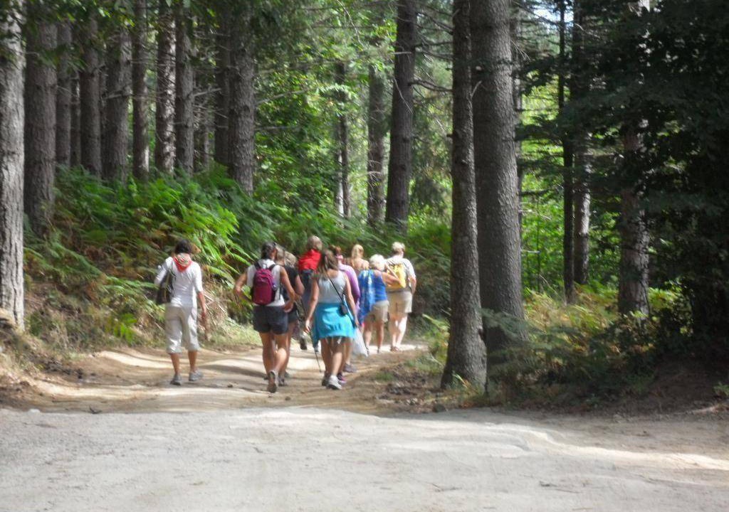 Photo of Others in Badolato