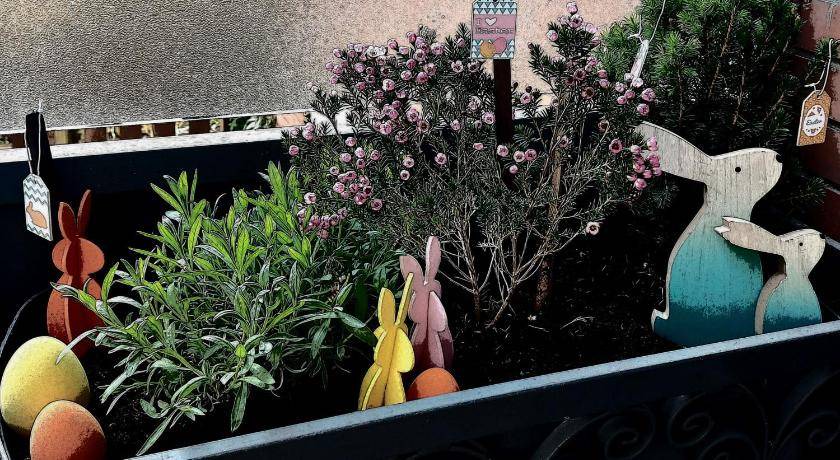 Photo of Patio Balcony in Savena