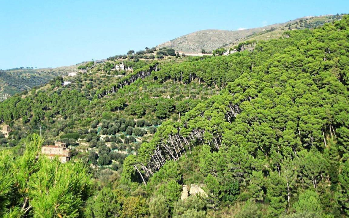 Photo of Others in Ponte San Nicola