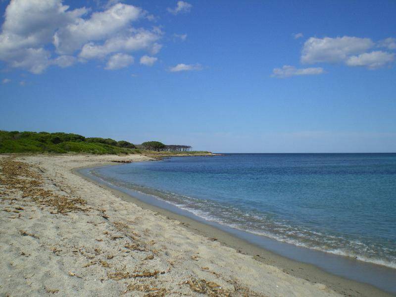 Photo of Others in Torpe