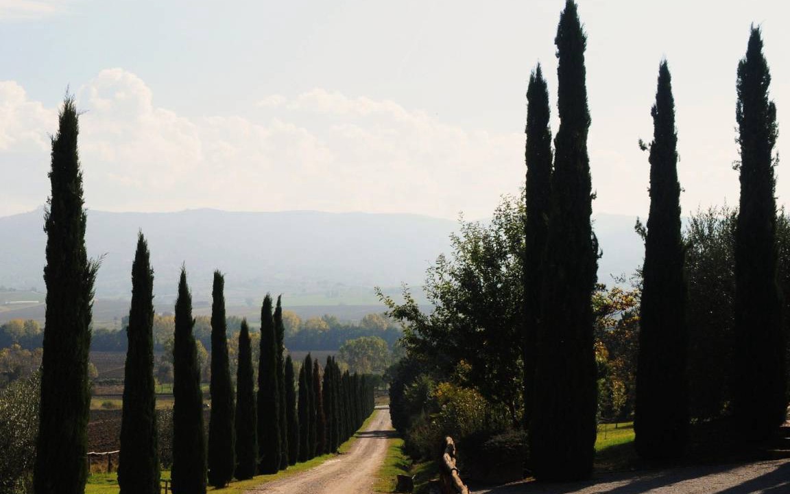 Photo of Others in Castiglione del Lago