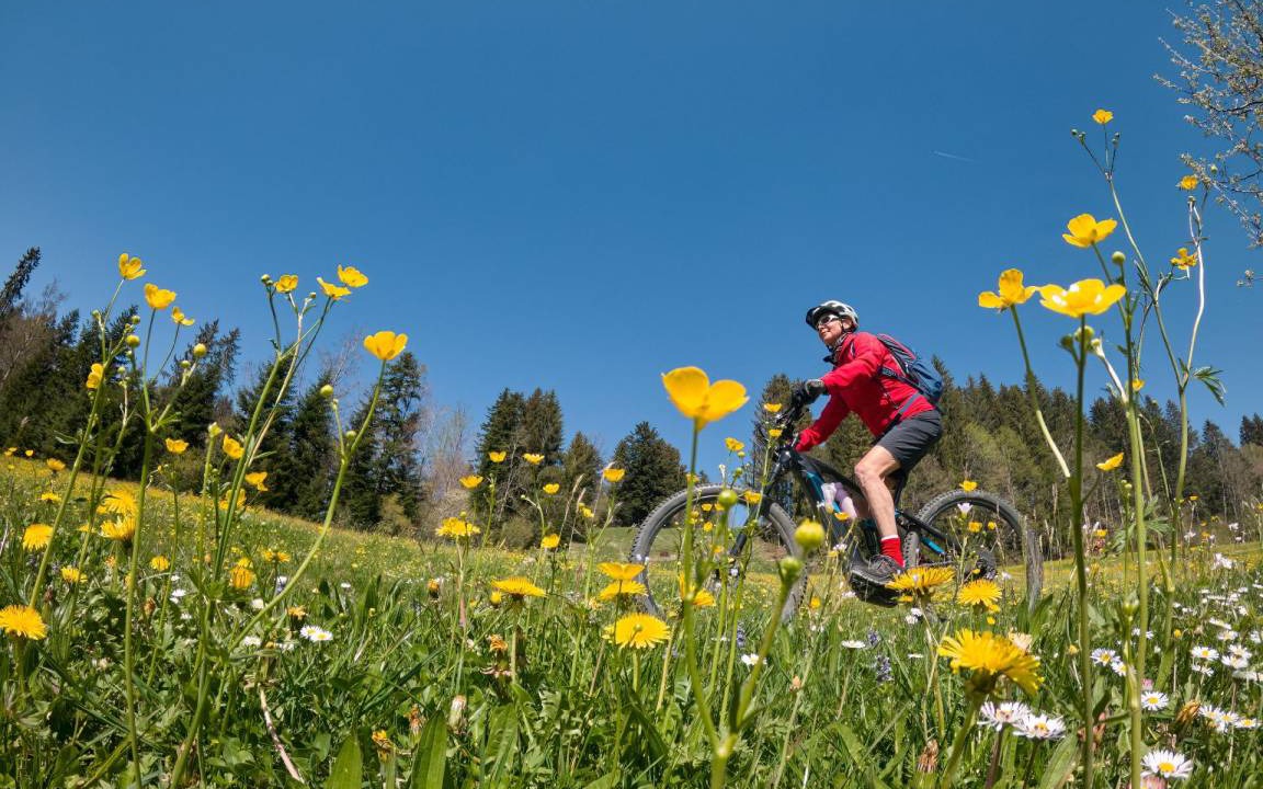 Photo of Others in Santa Caterina Valfurva