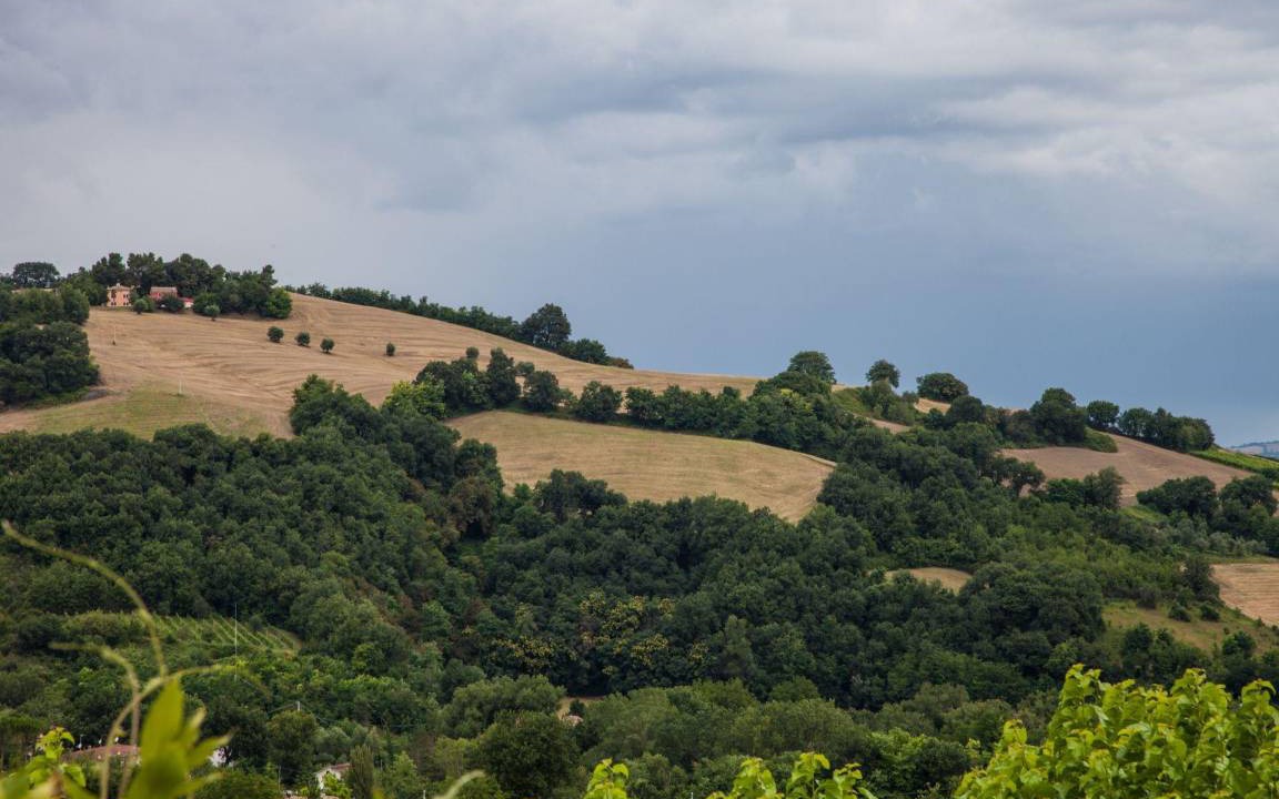 Photo of Others in Fossombrone