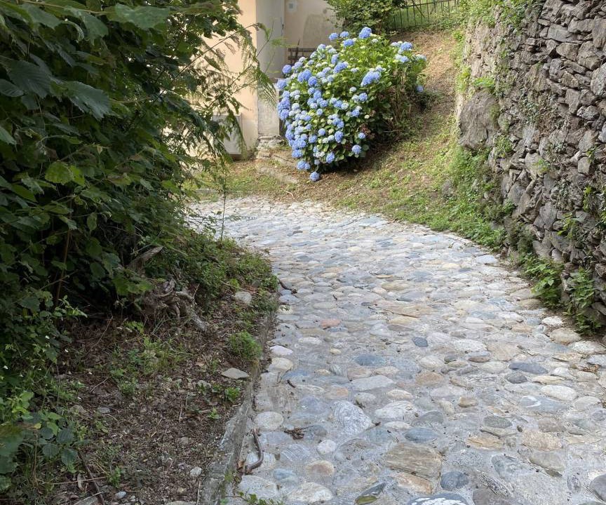 Photo of Others in Maccagno