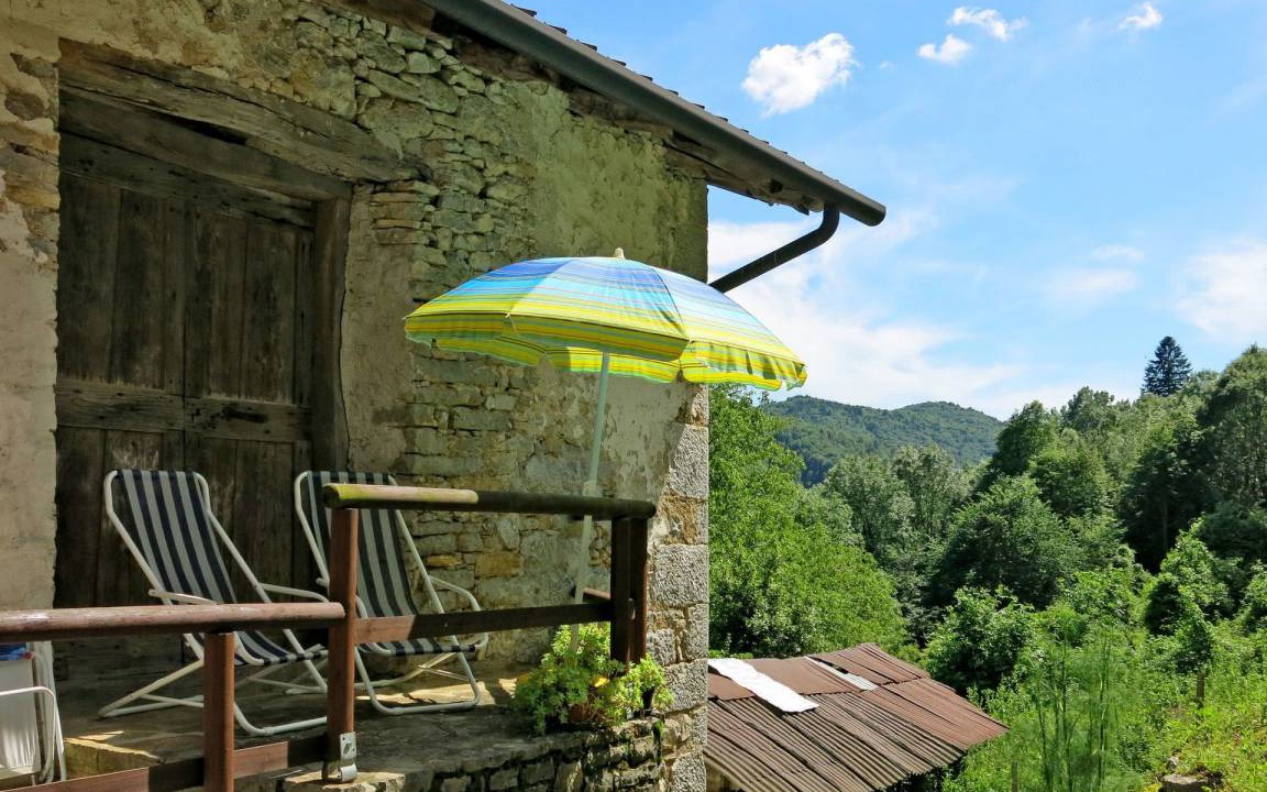Photo of Others in Cepletischis