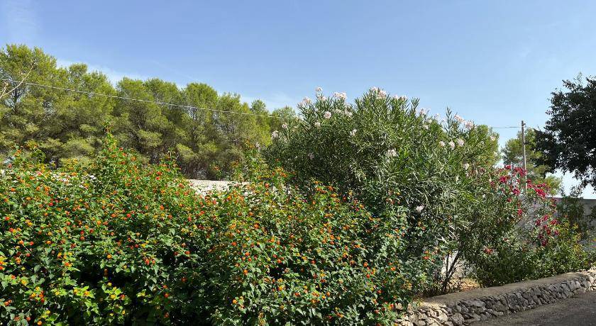 Photo of Outdoor in Sava