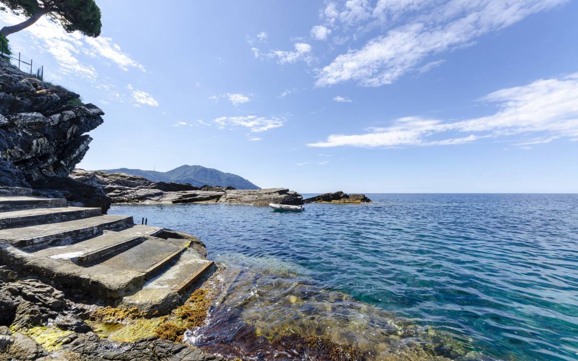 Photo of Others in Recco