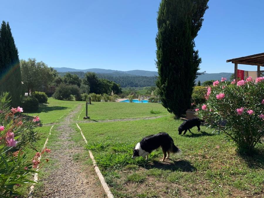 Photo of Others in Monterotondo Marittimo