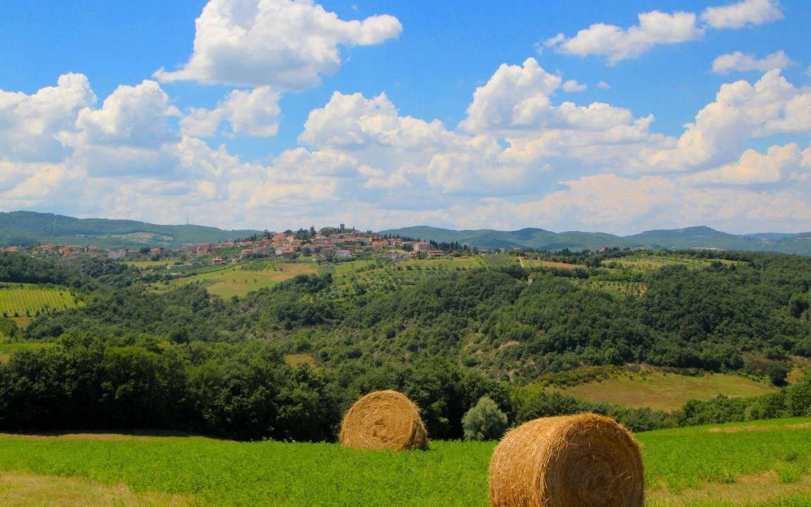 Photo of Others in San Venanzo