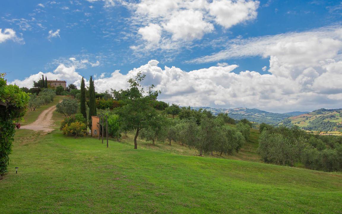 Photo of Others in Scansano