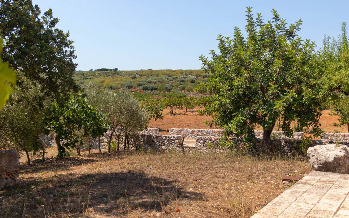 Photo of Others in Alcanterini