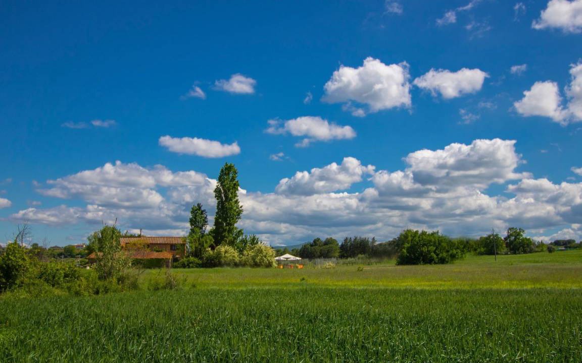 Photo of Others in Castiglione del Lago