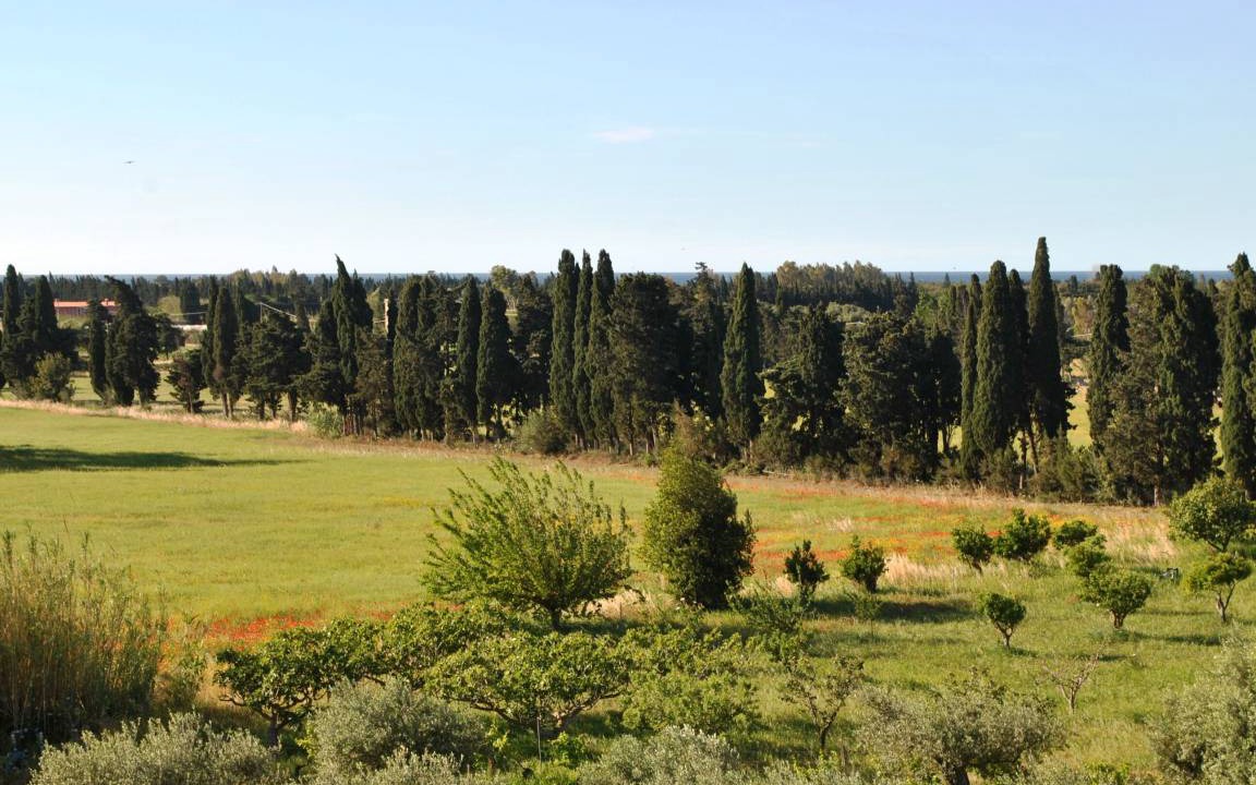 Photo of Others in Orosei