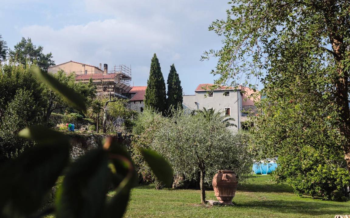 Photo of Others in Boragni