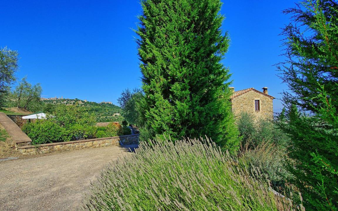 Photo of Others in Montalcino