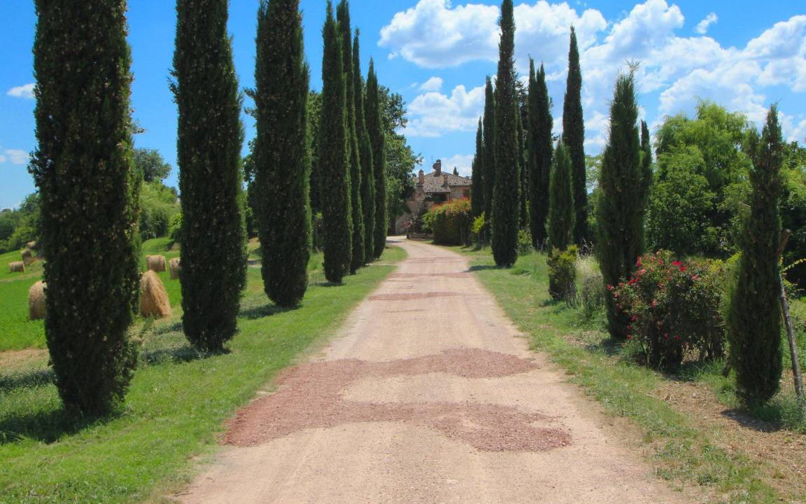 Photo of Others in San Venanzo