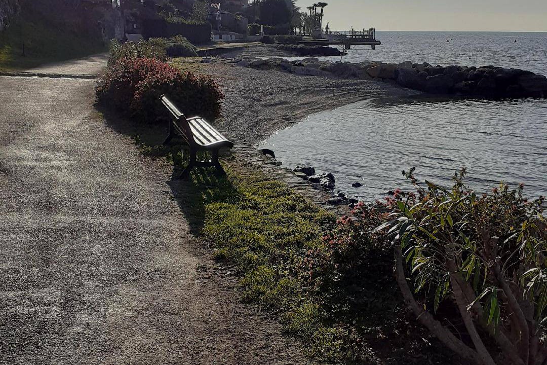 Photo of Others in Porto