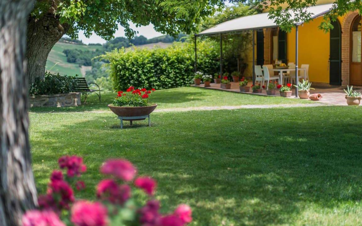 Photo of Others in Pergola