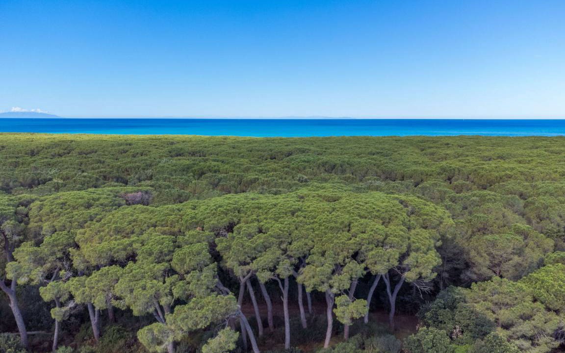 Photo of Outdoor in Cecina