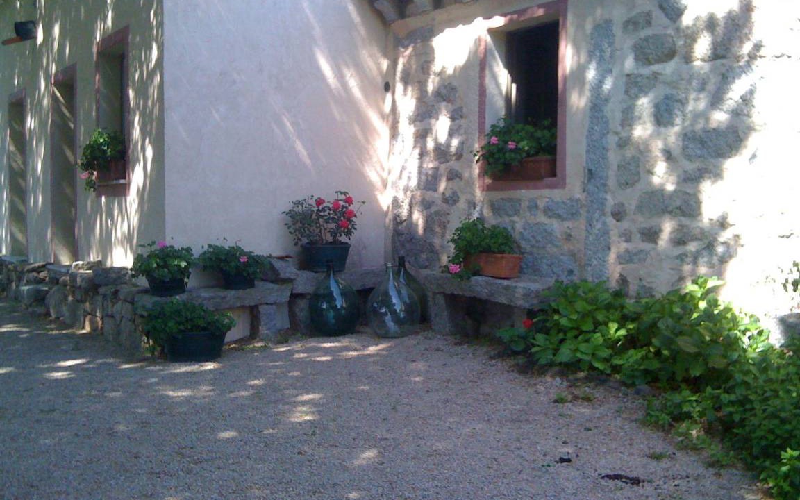 Photo of Others in Luogosanto