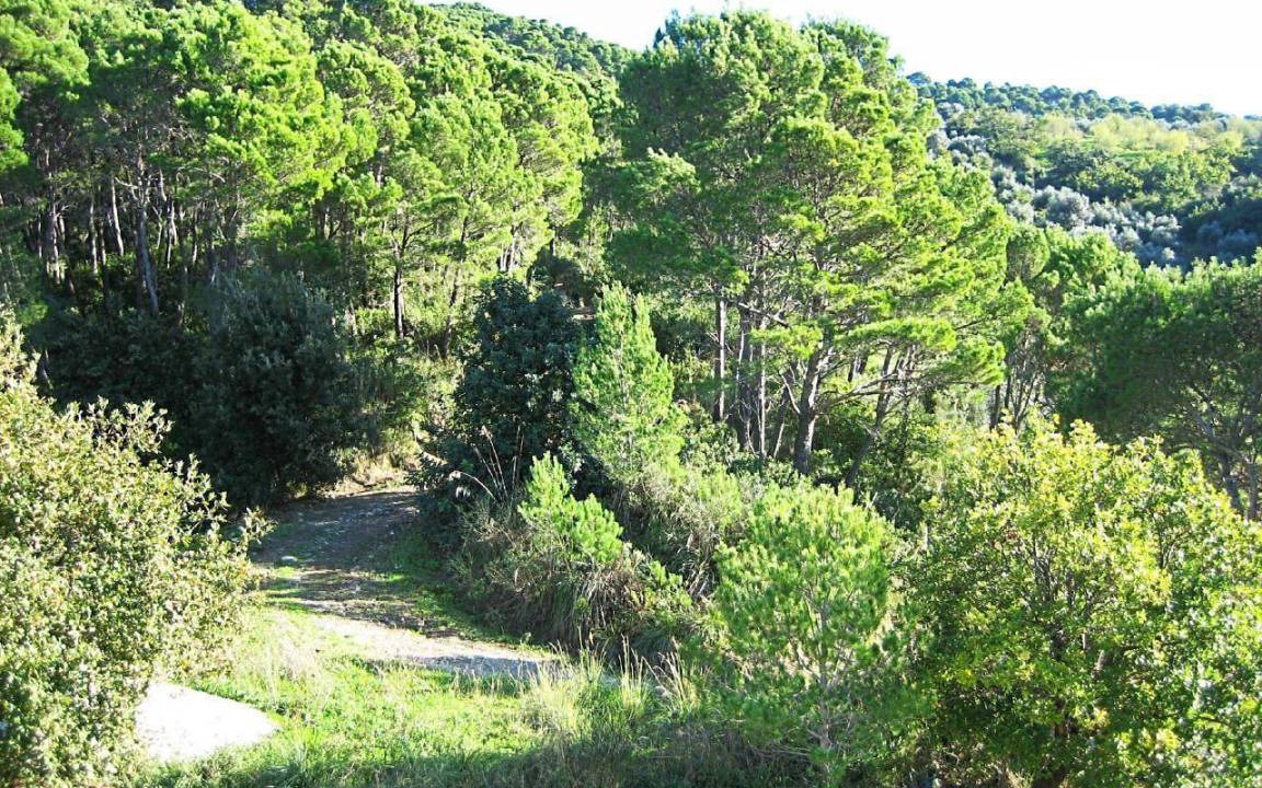 Photo of Others in Ponte San Nicola