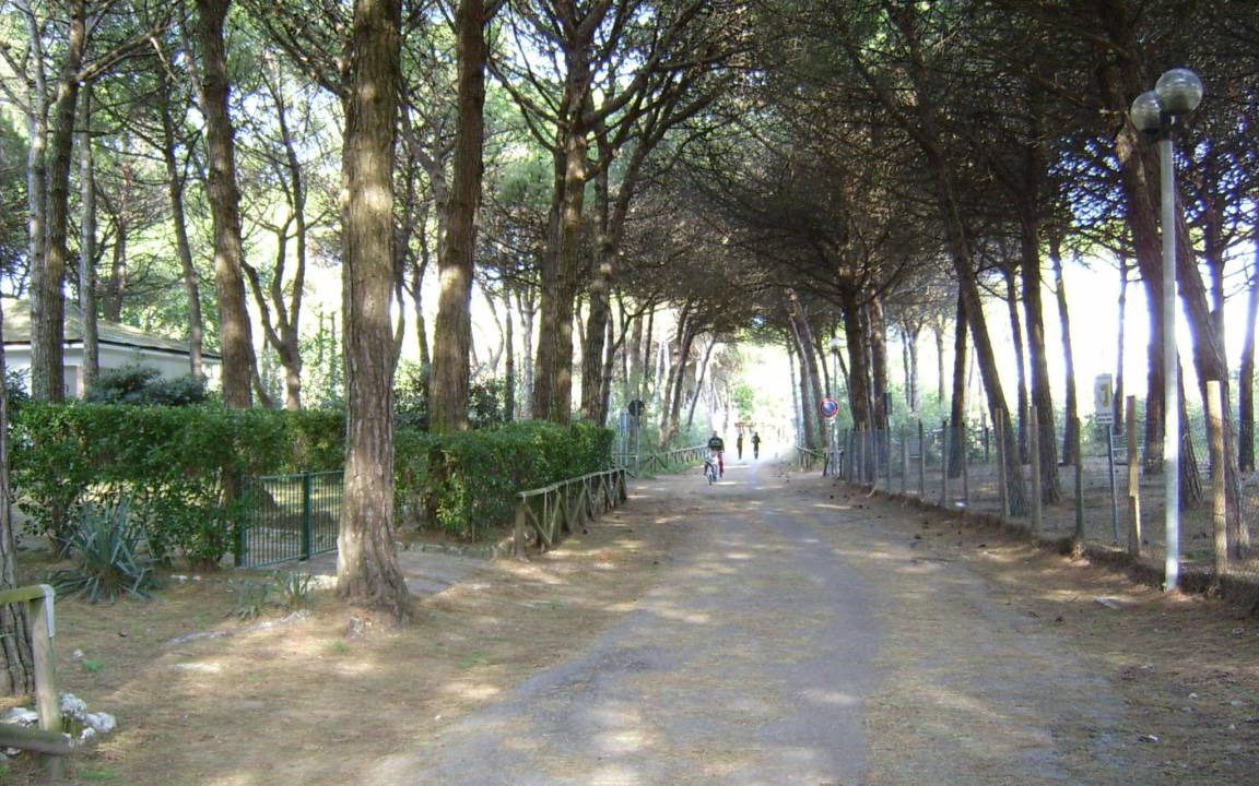 Photo of Others in Eraclea Mare