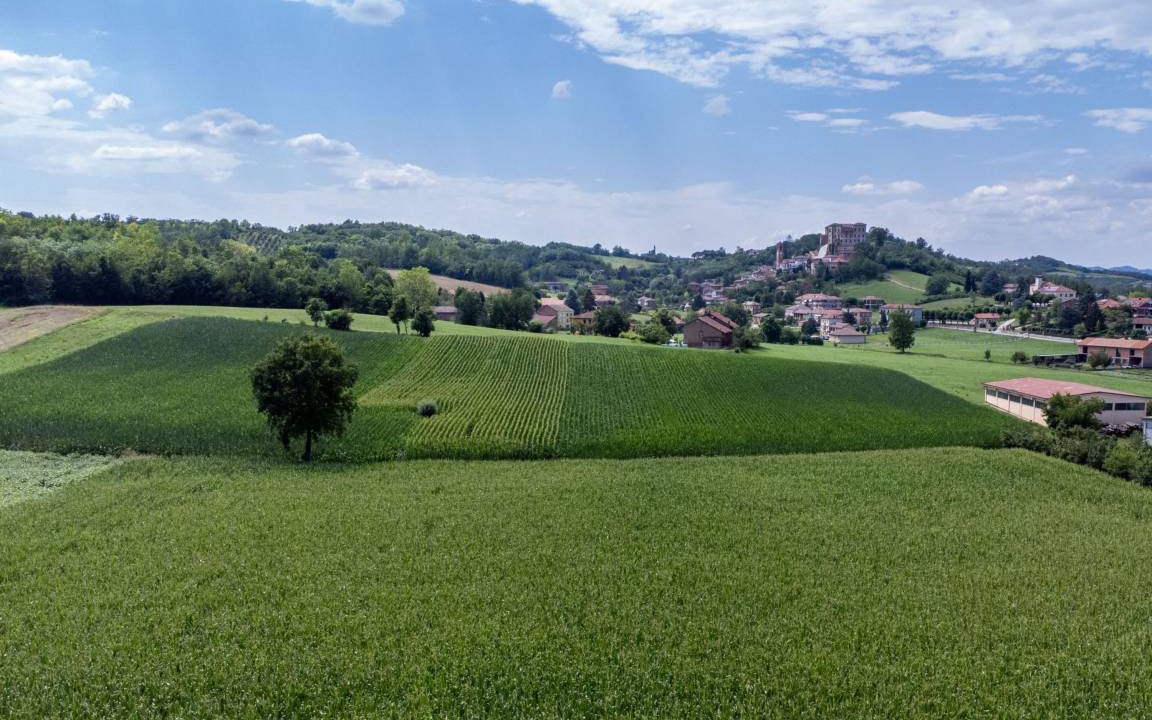 Photo of Others in Frinco
