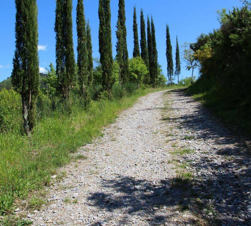 Photo of Others in Gaiole in Chianti
