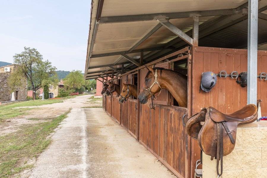 Photo of Others in Magione