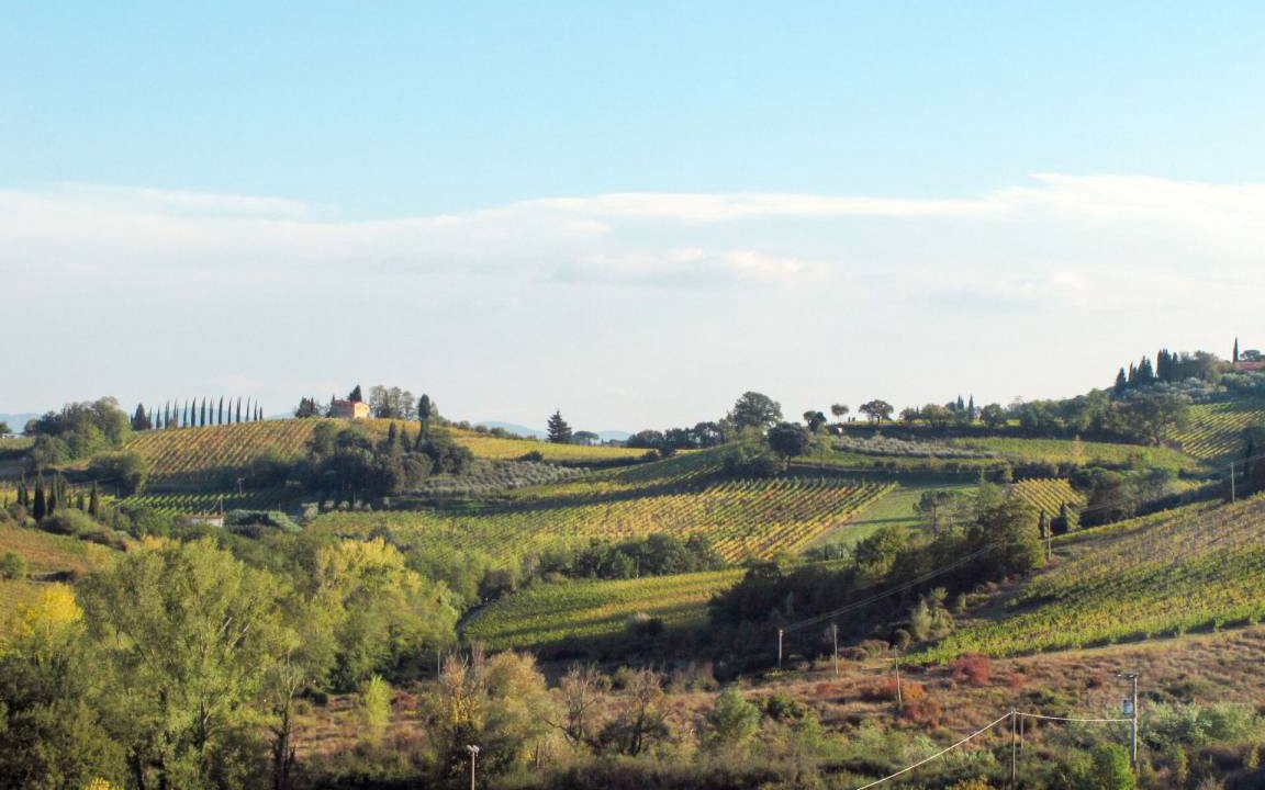 Photo of Others in Poggibonsi