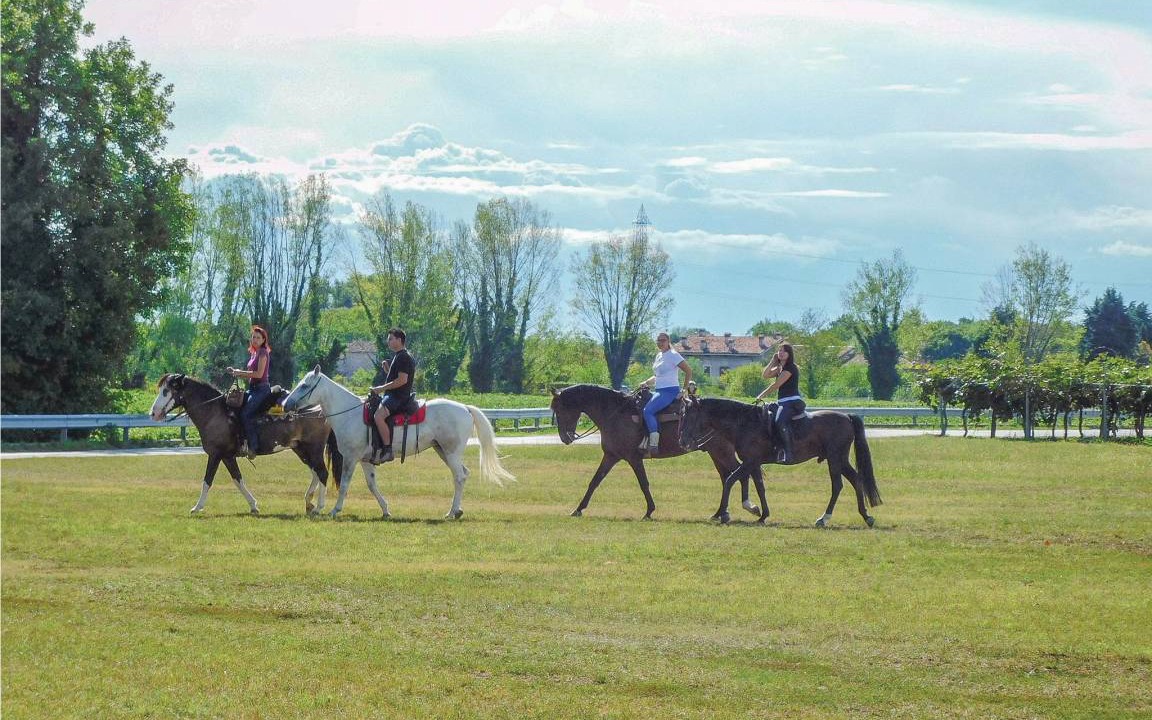 Photo of Others in Arcugnano
