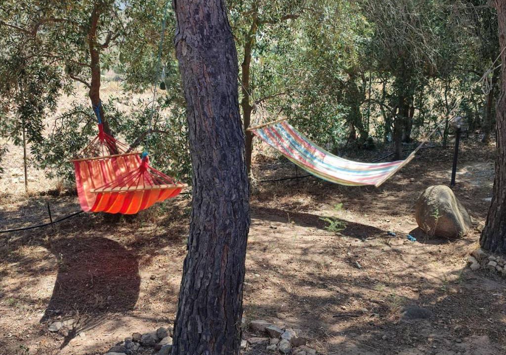 Photo of Outdoor in Villaggio delle Mimose