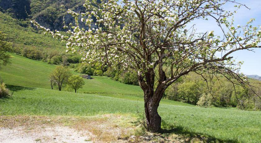 Photo of Others in Grizzana Morandi