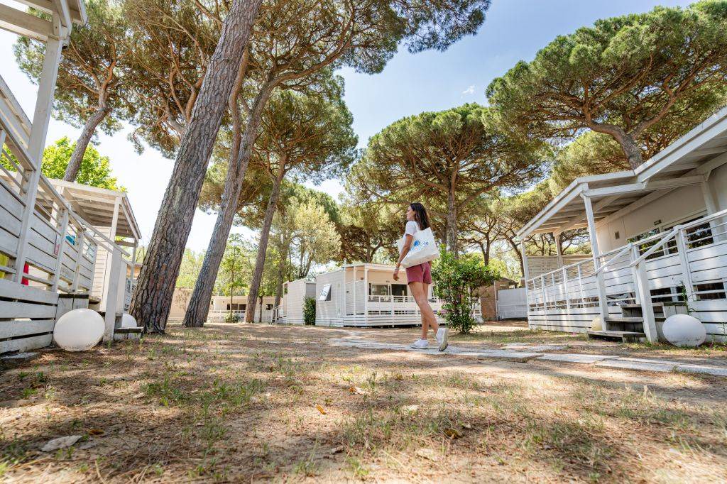 Photo of Others in Lido Adriano