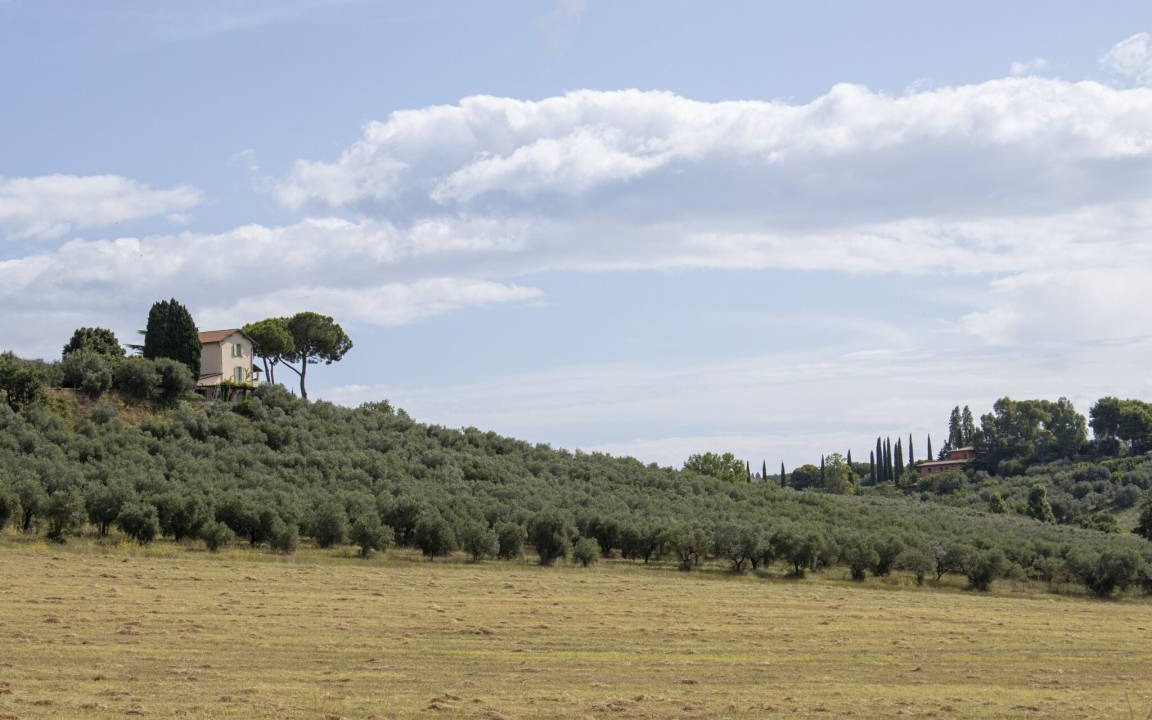 Photo of Others in Genzano di Roma
