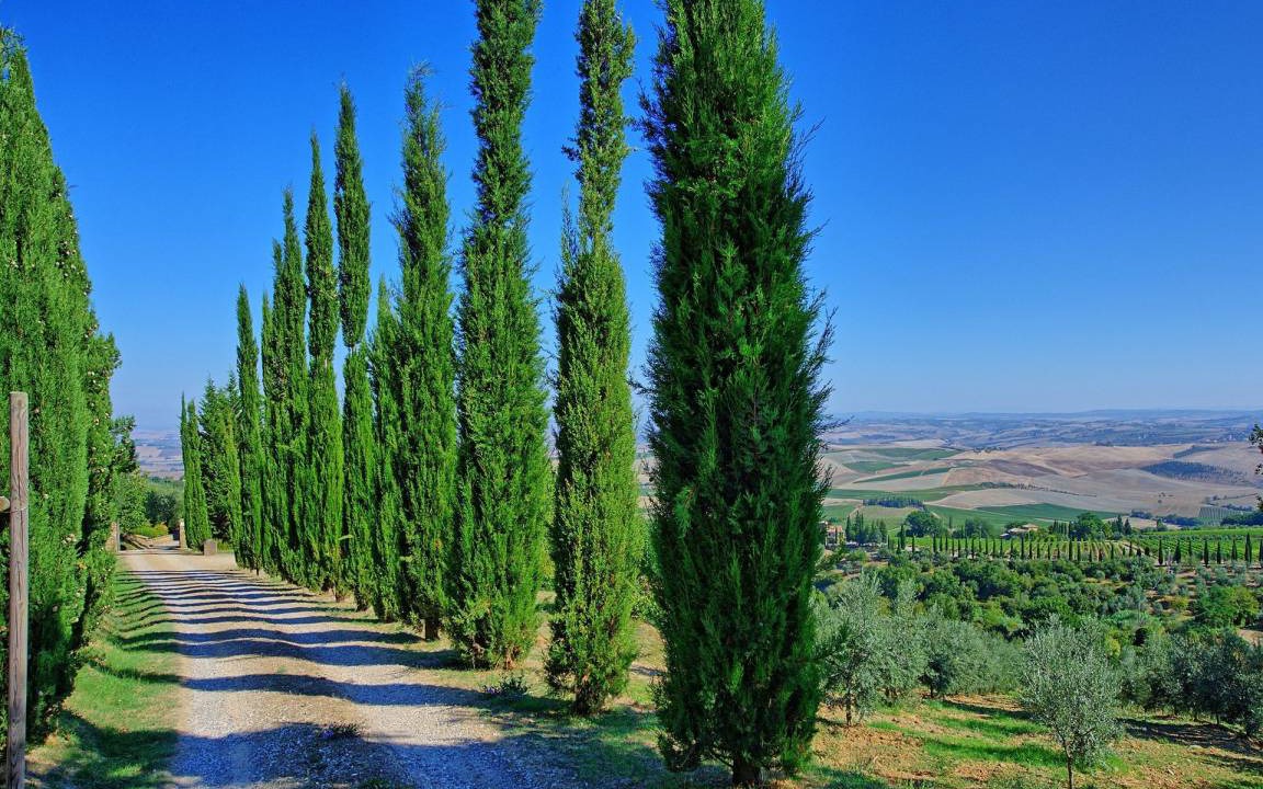 Photo of Others in Montalcino