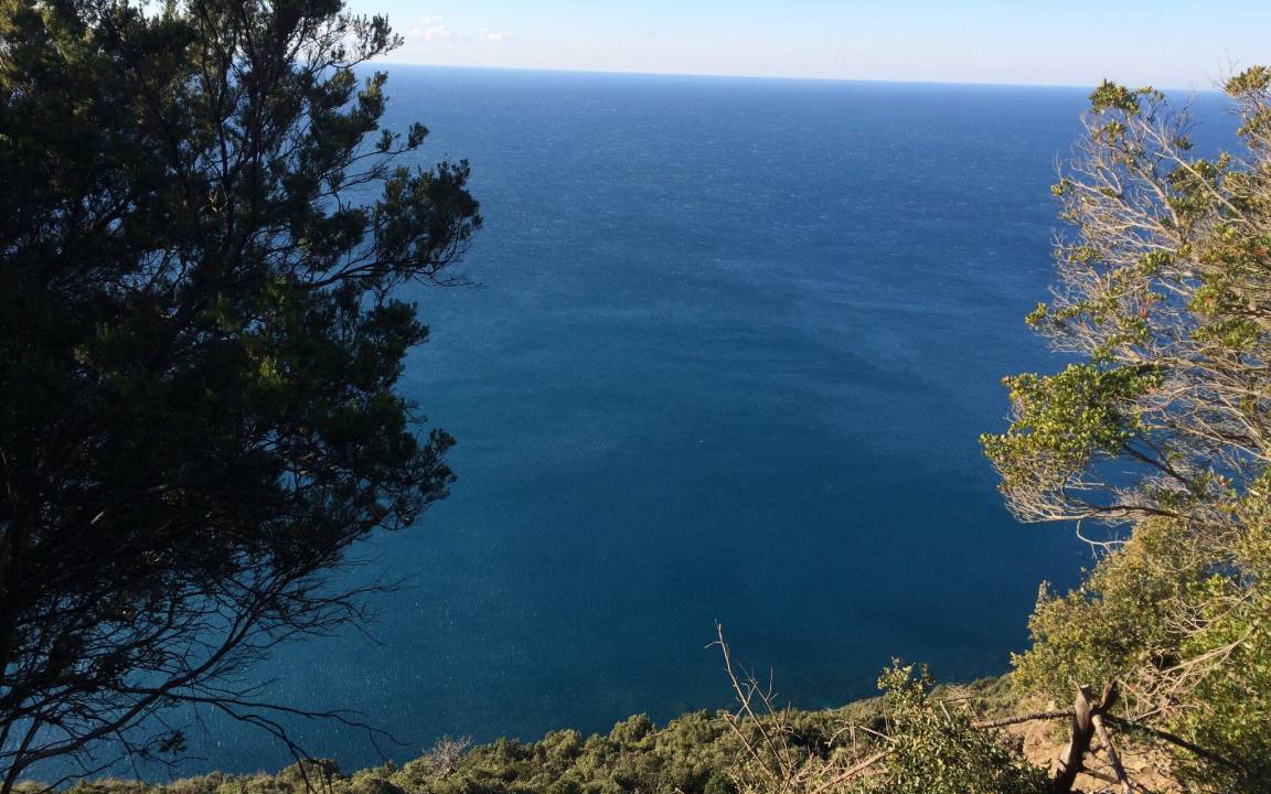 Photo of Others in Deiva Marina