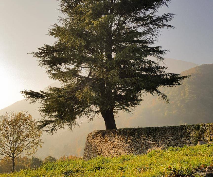Photo of Others in Torre Pellice