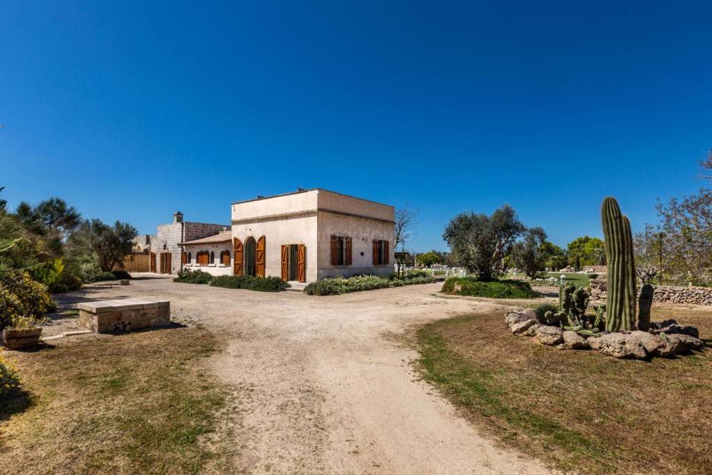 Photo of Others in Montesano Salentino