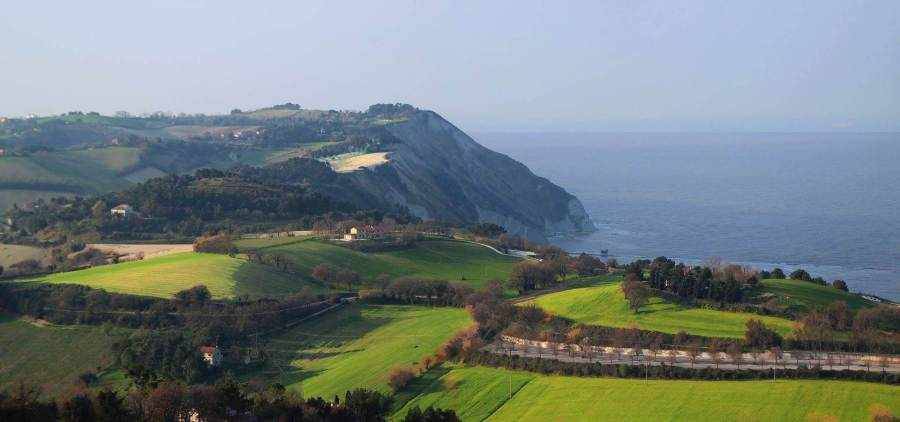 Photo of Others in Osimo