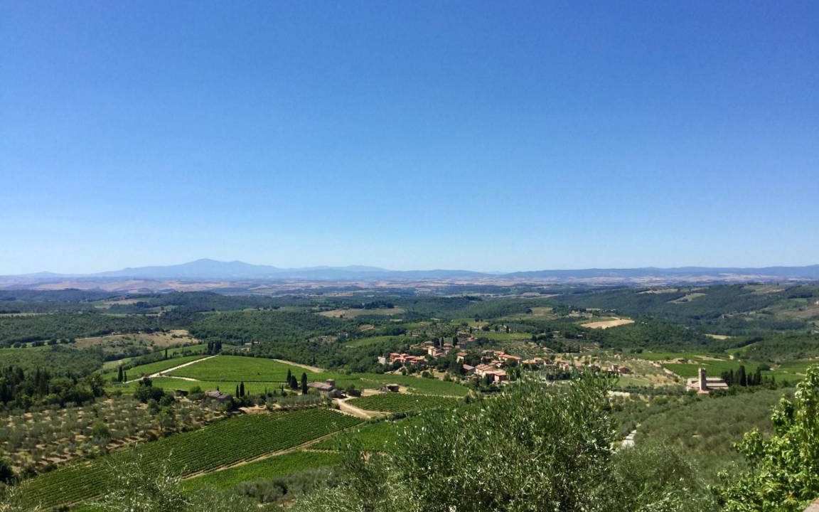 Photo of Others in Gaiole in Chianti