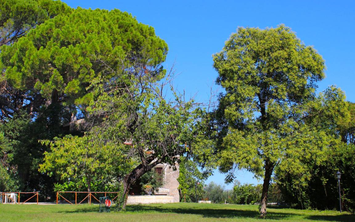 Photo of Others in Guidonia Montecelio