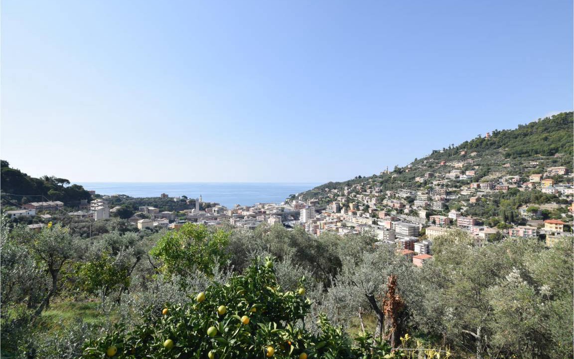 Photo of Others in Recco