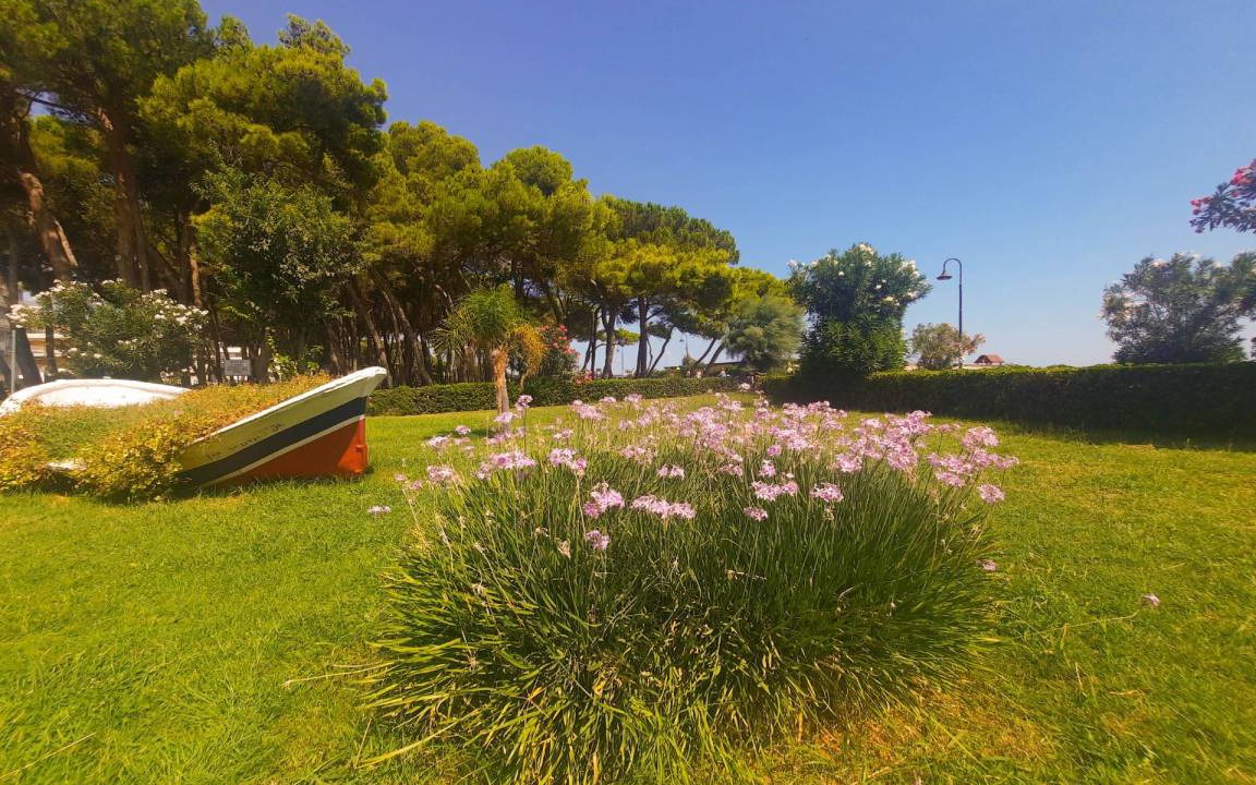 Photo of Others in Alba Adriatica