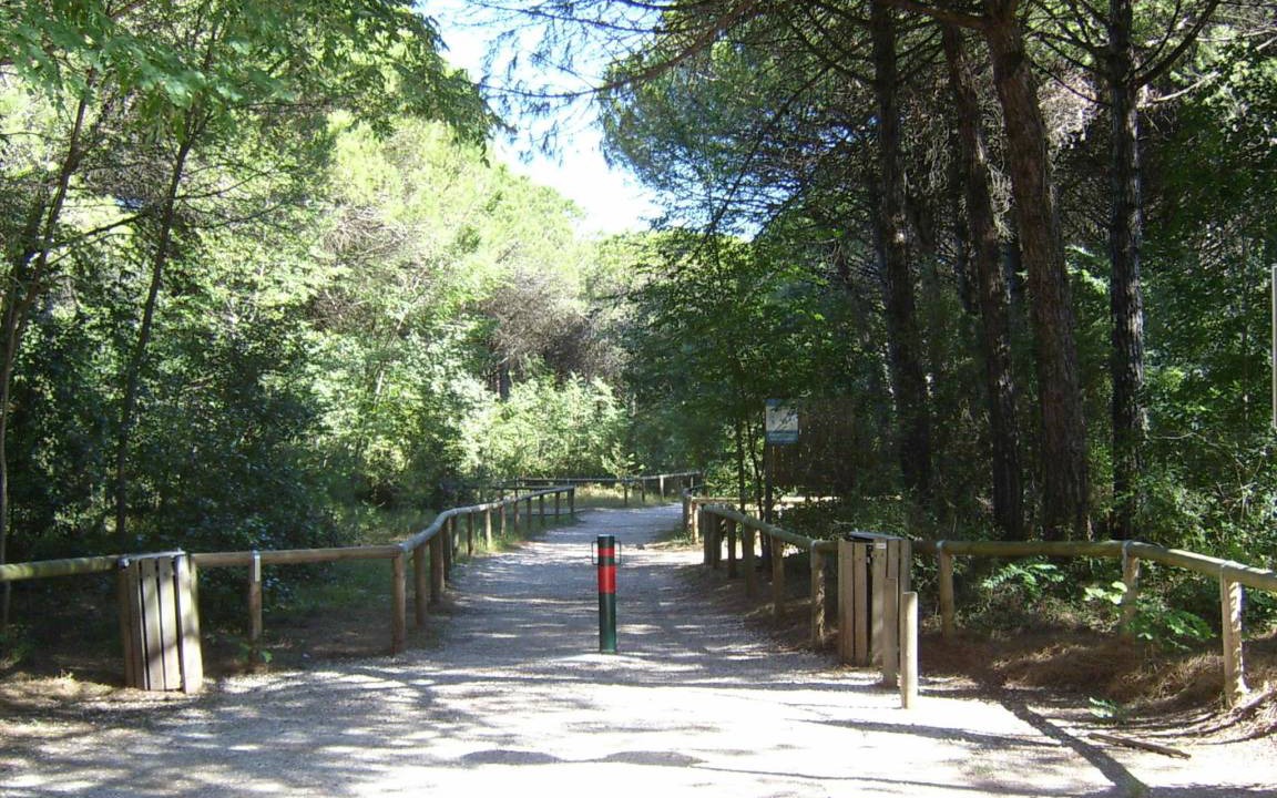 Photo of Others in Eraclea Mare