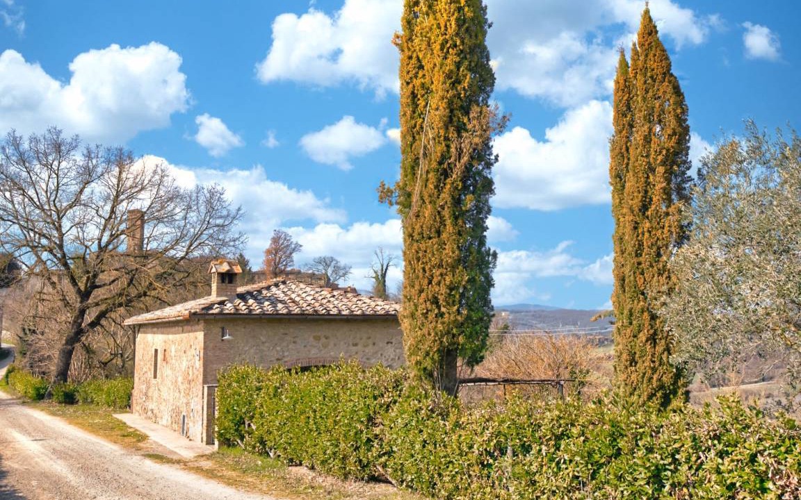 Photo of Others in Montalcinello